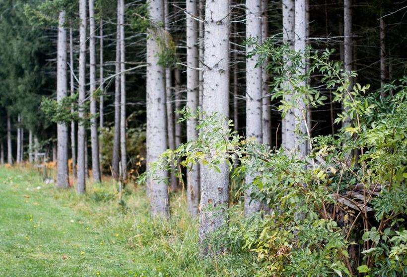 Отель Gasthof Pension Zoller