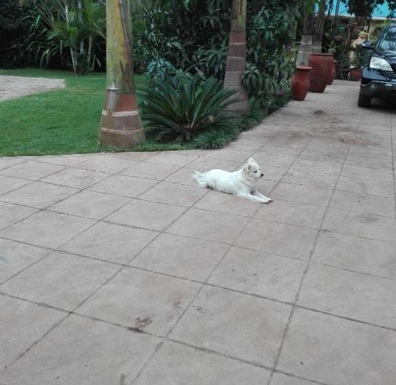 호텔 The Paradise In Kilimanjaro