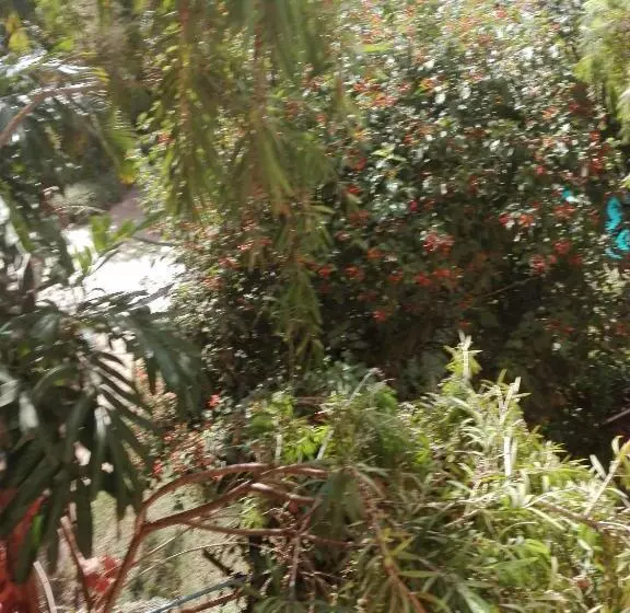 هتل The Paradise In Kilimanjaro