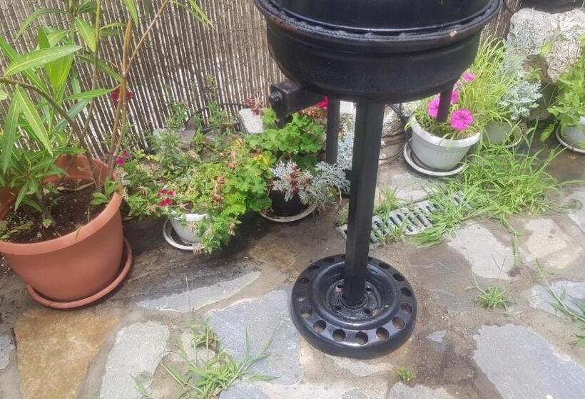 פנסיון Guest House Antique