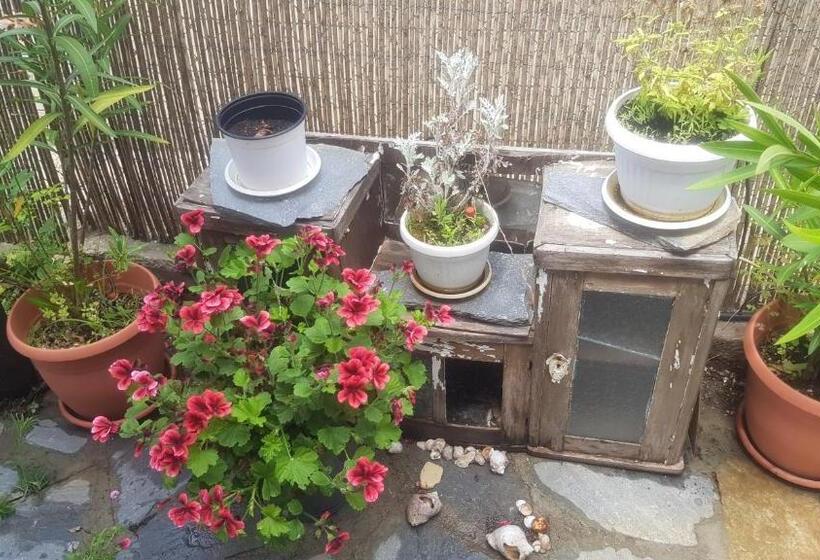 פנסיון Guest House Antique