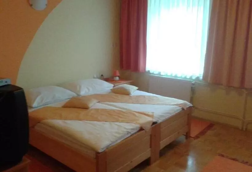 پانسیون Guesthouse Pri županu