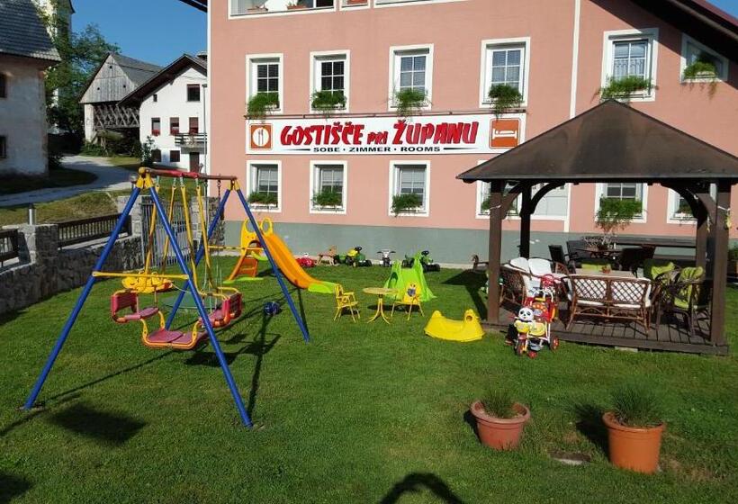 پانسیون Guesthouse Pri županu