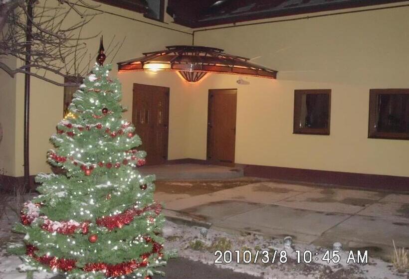 Pensiunea Casa Vulkan