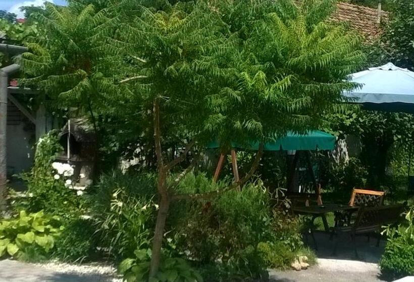 Pensiunea Casa Vulkan