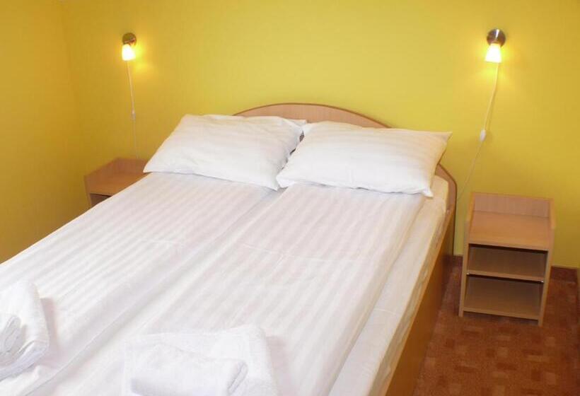 Pensiunea Casa Vulkan