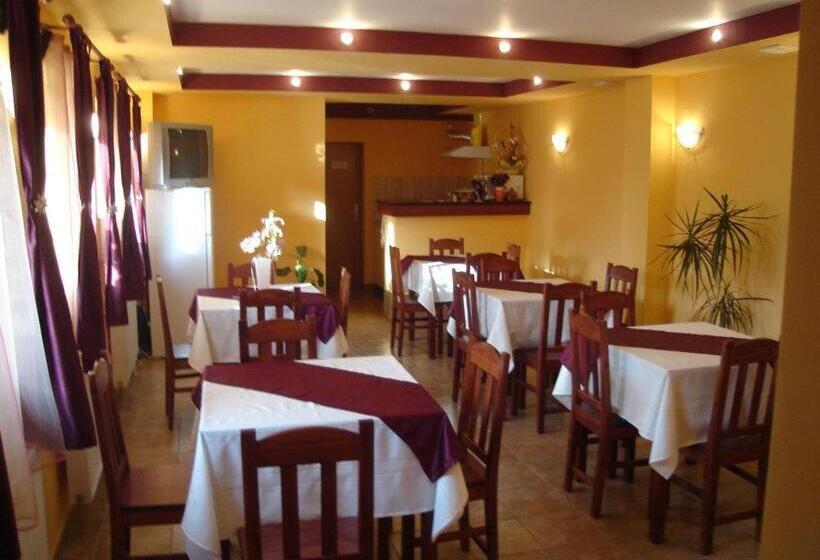 Pensiunea Casa Vulkan