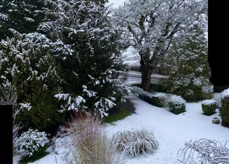 Colterscleuch House B&b