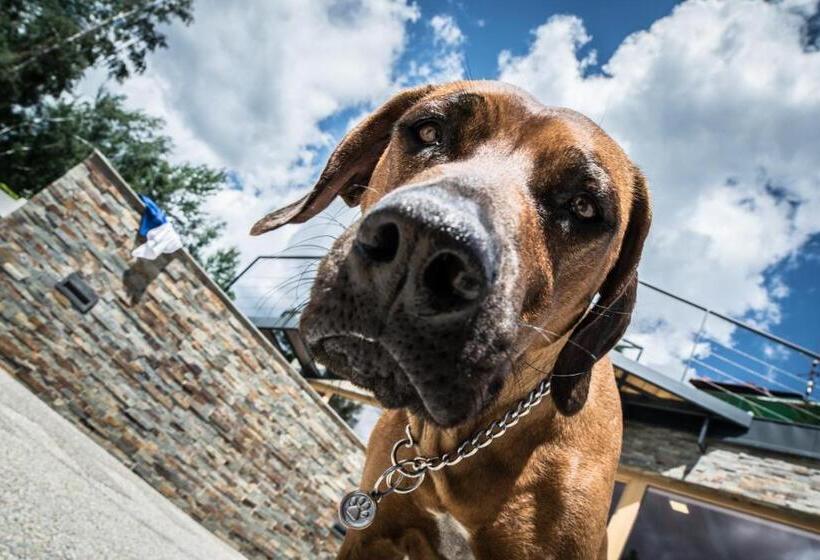 פנסיון Penzion Ekosport