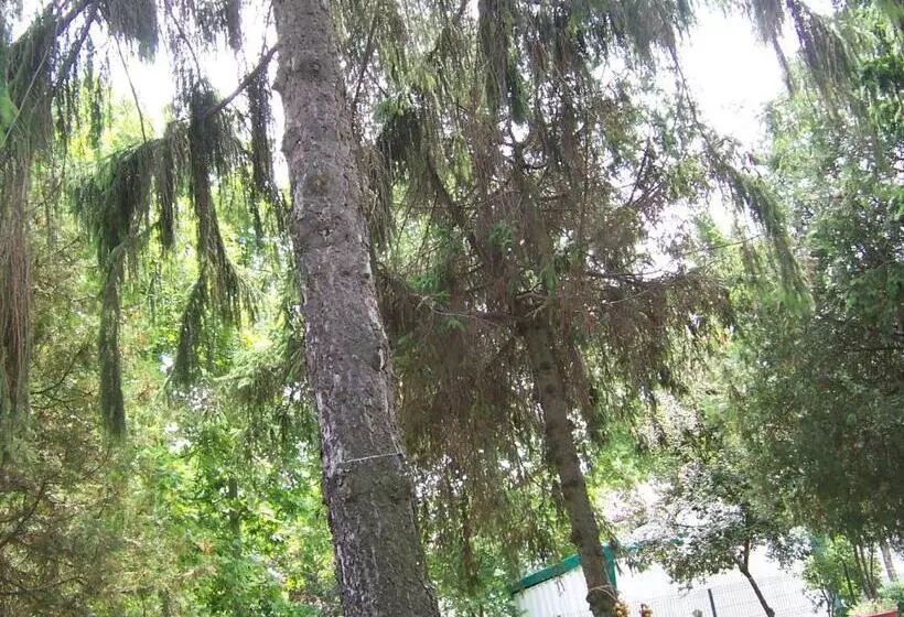 Pensiunea Ruxandra