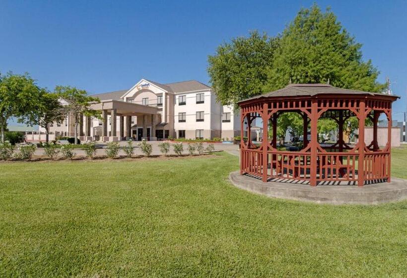 酒店 Comfort Suites