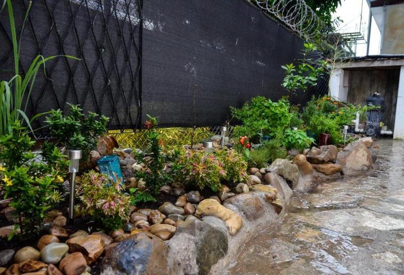 تختخواب و صبحانه Nuestra Casa