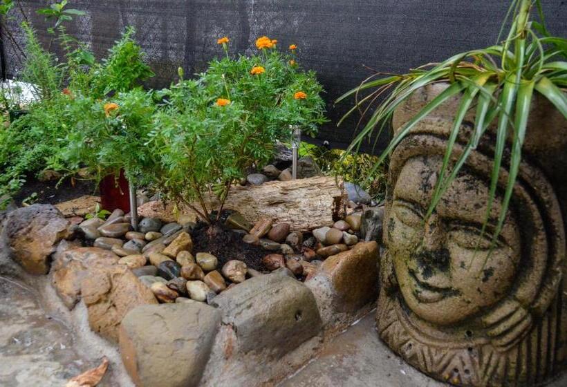 تختخواب و صبحانه Nuestra Casa