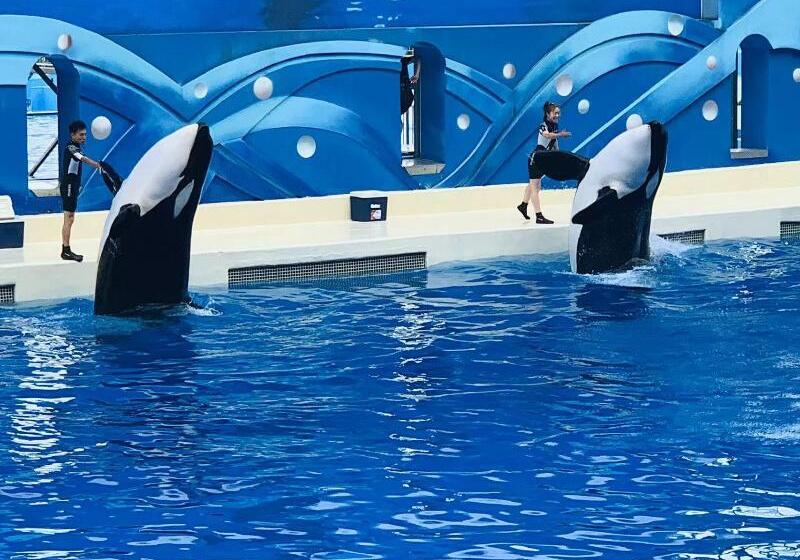 호텔 Ji  Shanghai Kangqiao Xiuyan Road