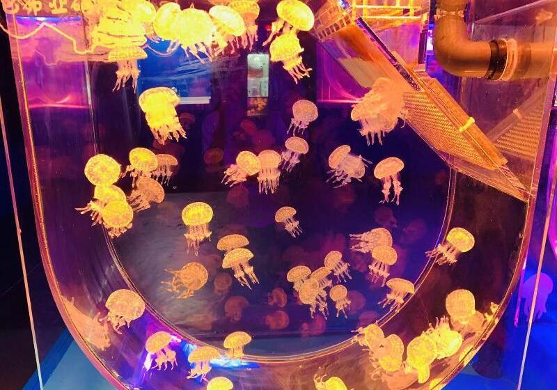 호텔 Ji  Shanghai Kangqiao Xiuyan Road