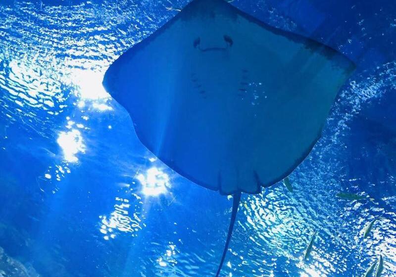 호텔 Ji  Shanghai Kangqiao Xiuyan Road