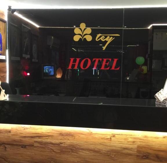Hotel Tey