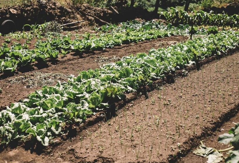 Las Cumbres Eco Hotel Termalismo Y Spa