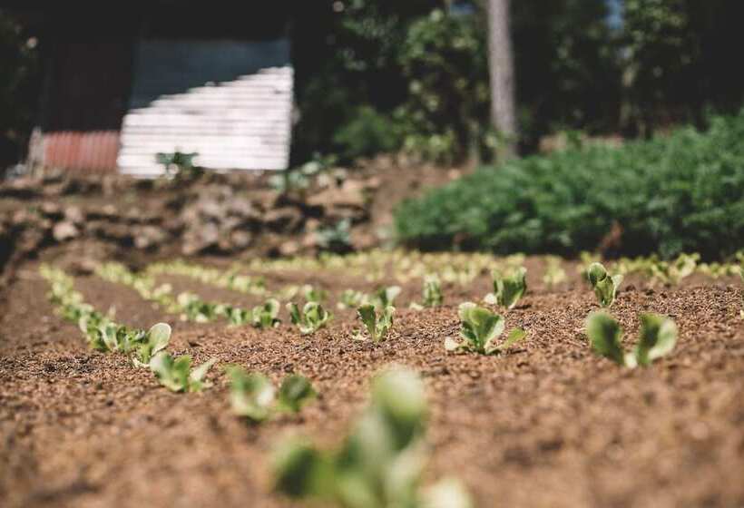 Las Cumbres Eco Hotel Termalismo Y Spa