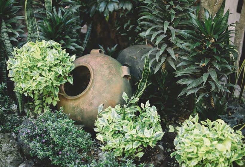 Las Cumbres Eco Hotel Termalismo Y Spa