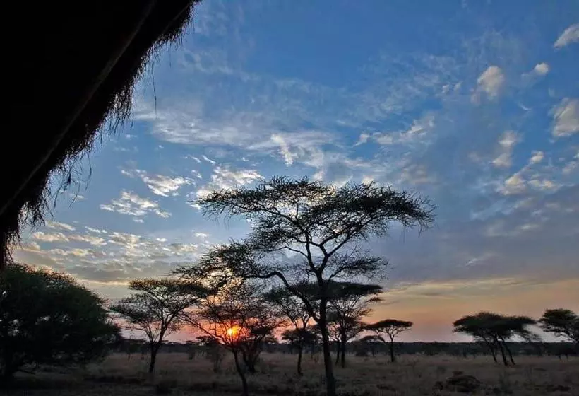 استراحتگاه Rafiki Village