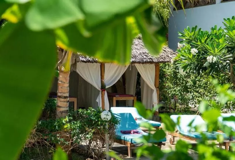 استراحتگاه Rafiki Village