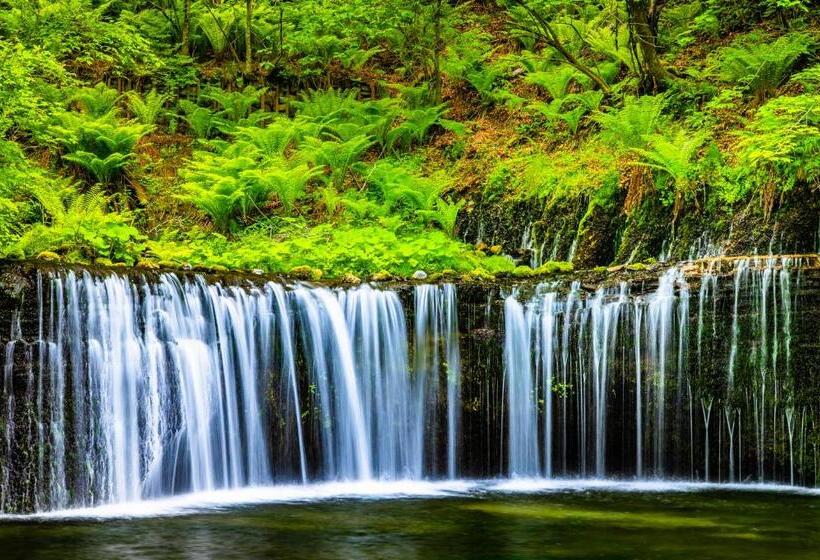 료칸 Kita Karuizawa Kogen