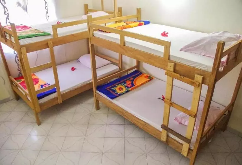 Wakawaka Hostel