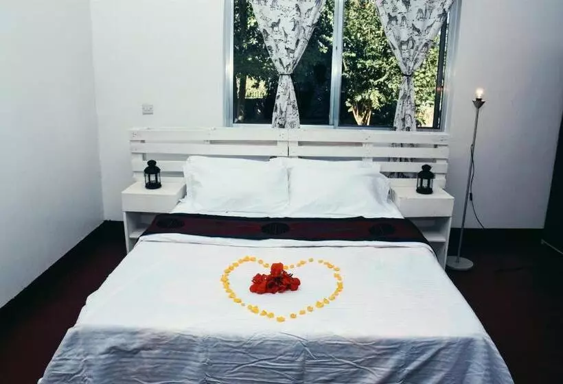Wakawaka Hostel