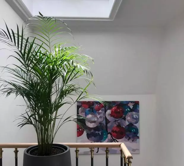 Galerie Suites