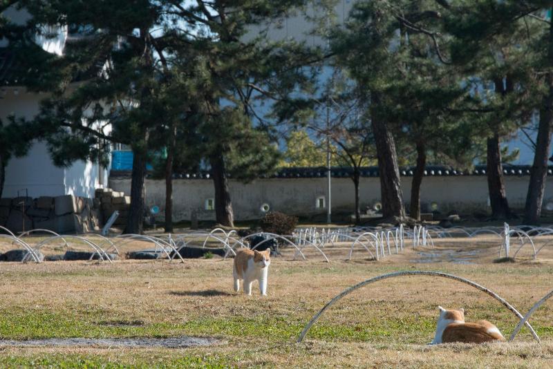 Hotel Fukuyama Royal