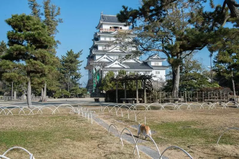 ホテル Fukuyama Royal