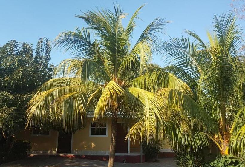 هاستل La Arboleda