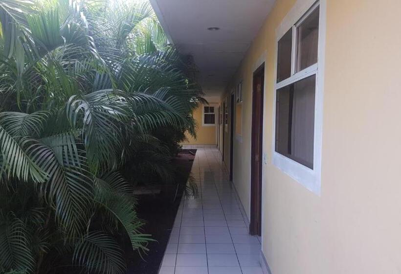 هاستل La Arboleda