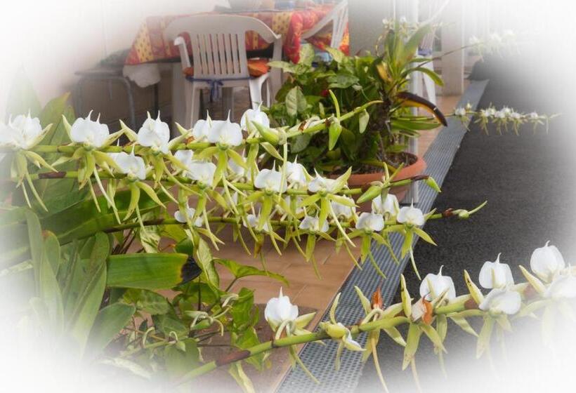 تختخواب و صبحانه La Résidence Des Caféiers Le Tampon