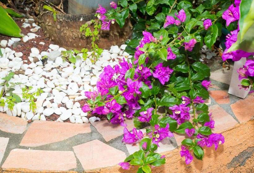 تختخواب و صبحانه La Résidence Des Caféiers Le Tampon