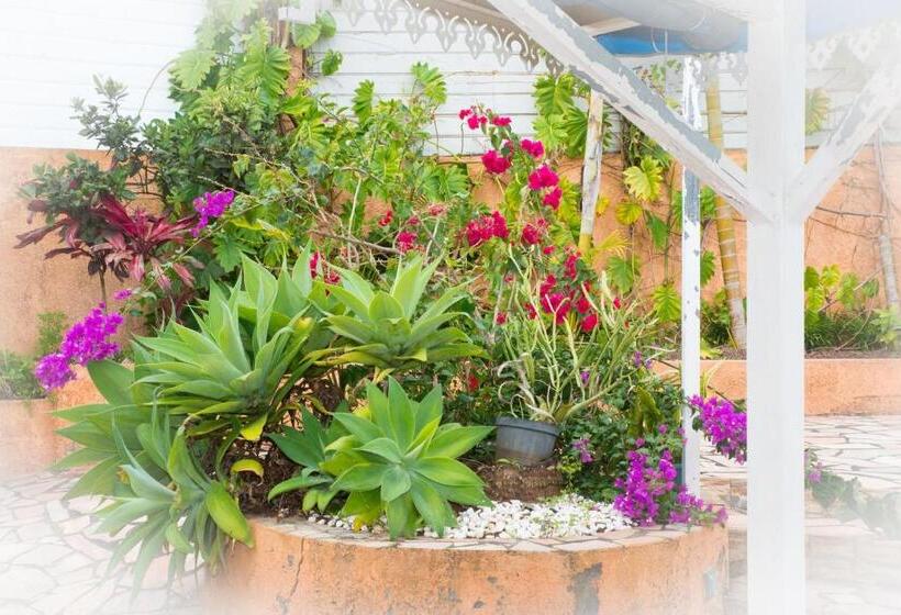 تختخواب و صبحانه La Résidence Des Caféiers Le Tampon