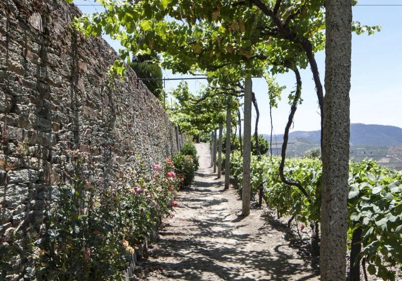 Отель Casa De Casal De Loivos