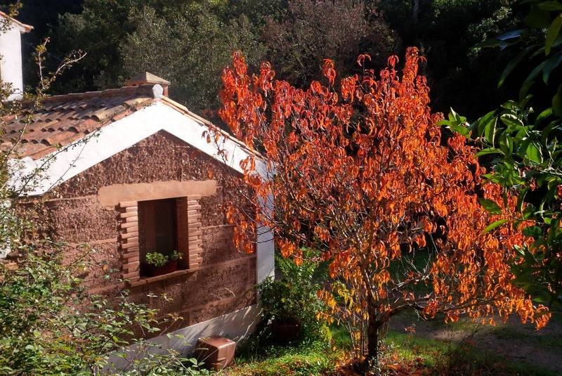 בית מלון כפרי Casas Da Cerca