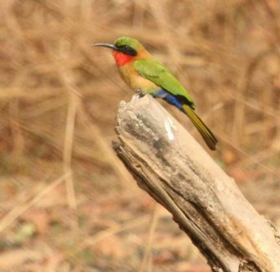 فندق Germain Ganvie Holiday Resort