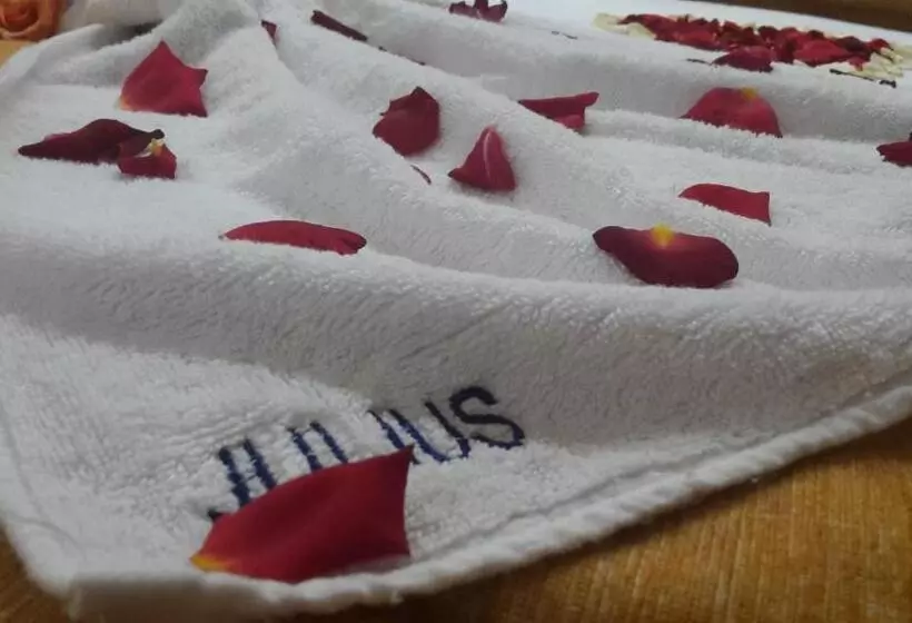 Hotelli Julius