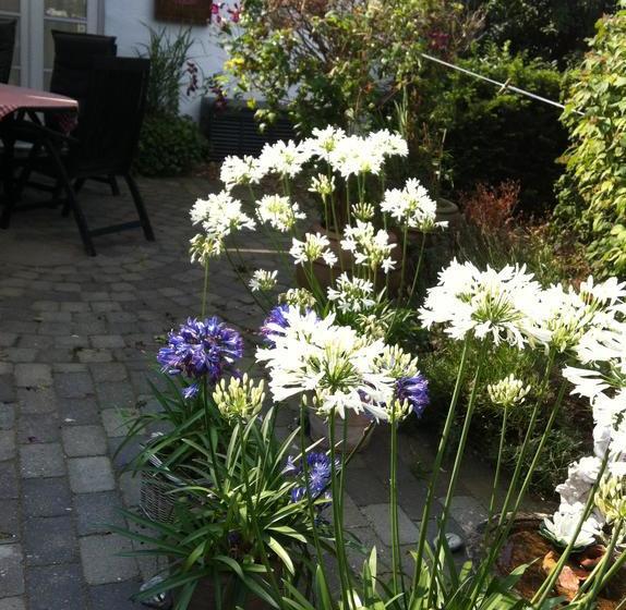 Vejle Golf Bed & Breakfast