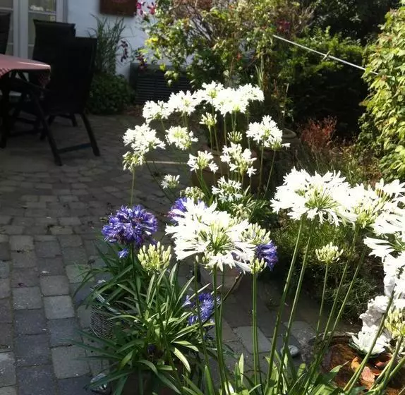 Vejle Golf Bed & Breakfast
