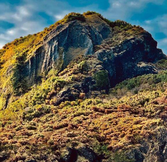 تختخواب و صبحانه 綠島寧靜海潛水 城堡館 Twinkleocean Diving Hostel