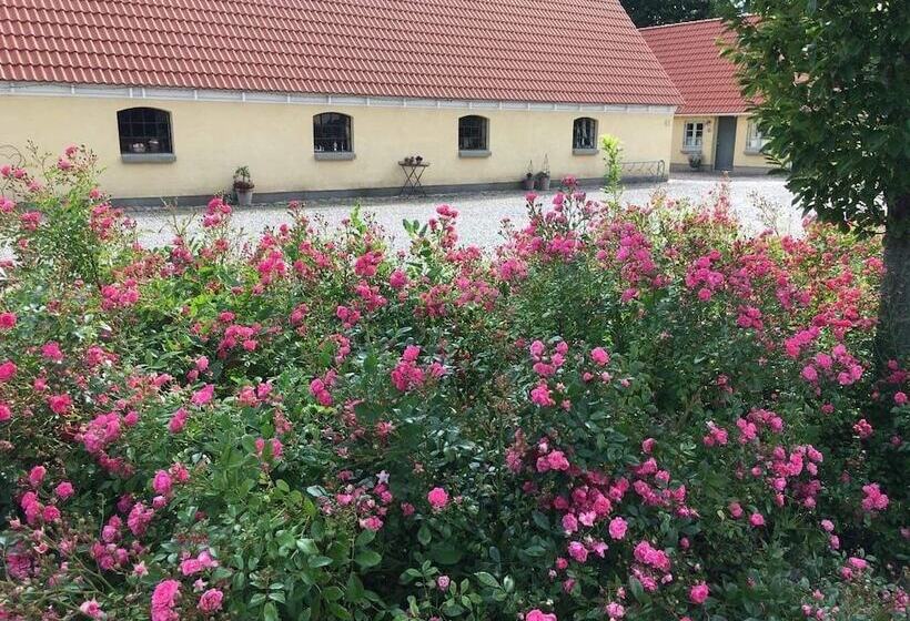 Birkende Bed And Breakfast