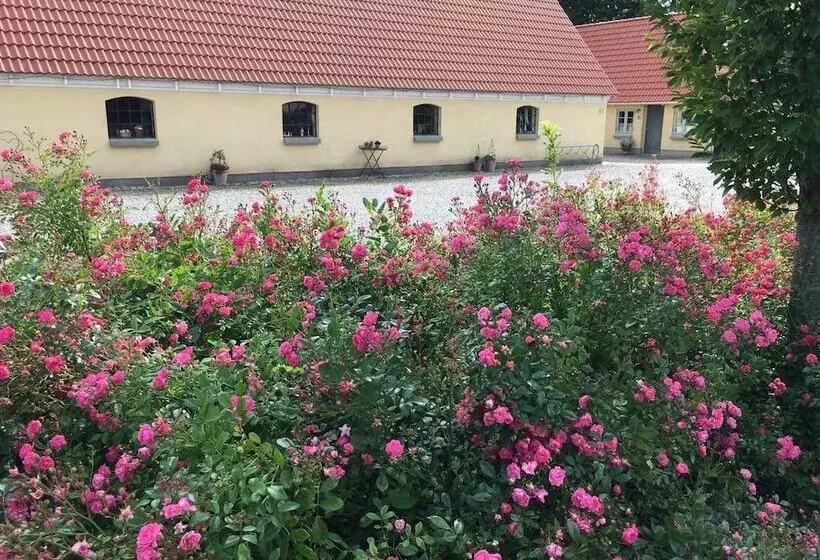 Birkende Bed And Breakfast