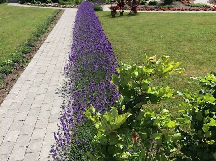 Birkende Bed And Breakfast