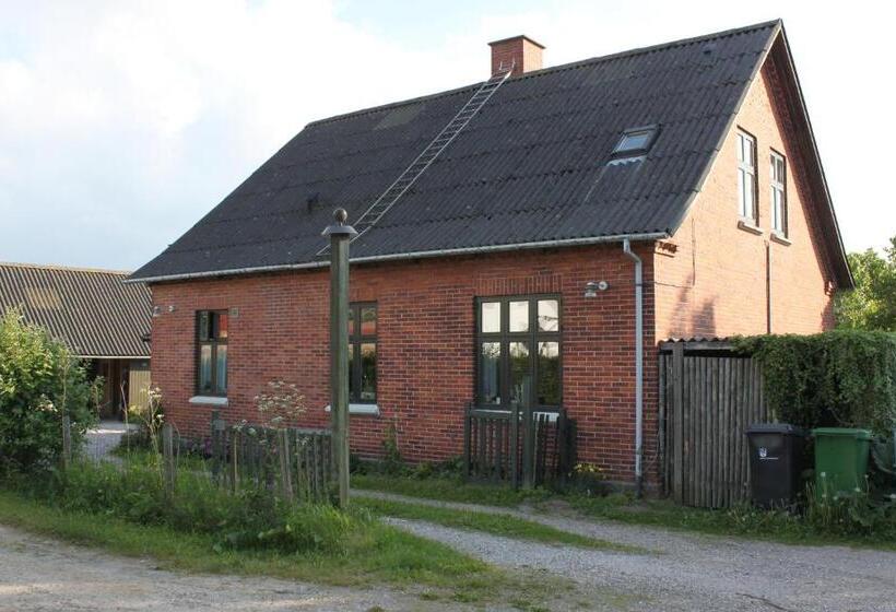 Borup Bed & Breakfast