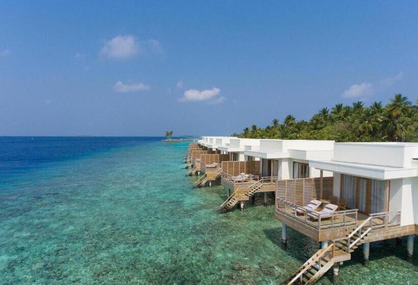 Dhigali Maldives A Premium All Inclusive Resort