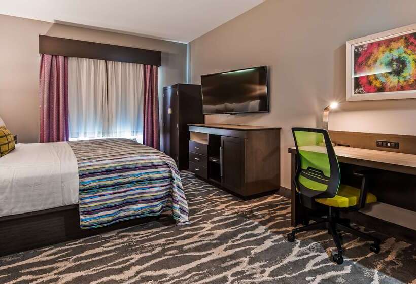 酒店 Best Western Plus Ruston